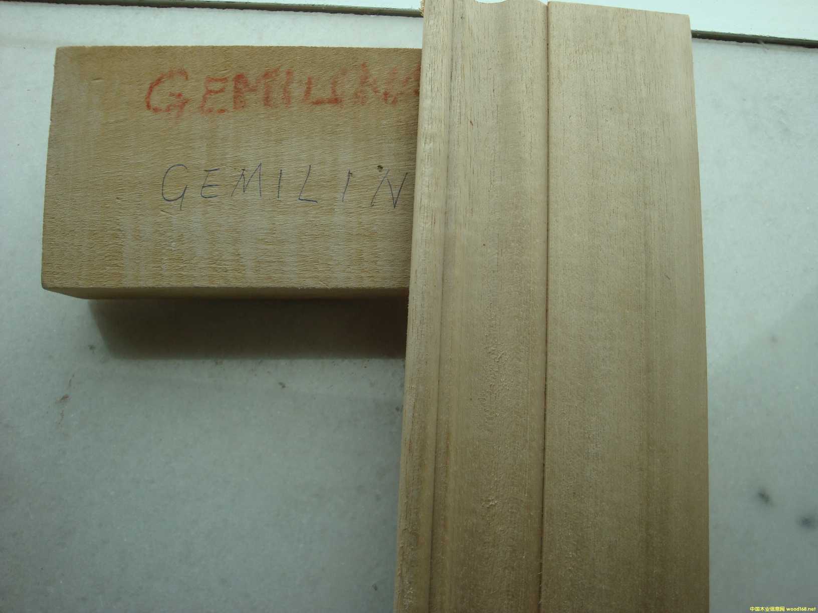 [] (yng)ľľeʯľGMELINA