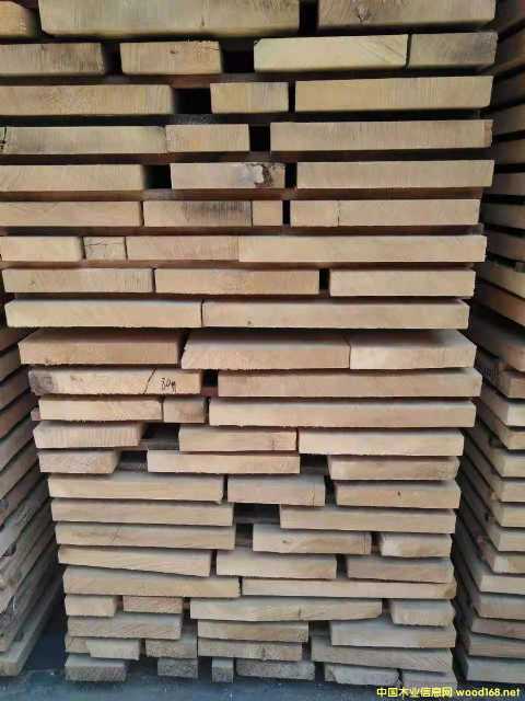 [] (yng)ľľeʯľGMELINA