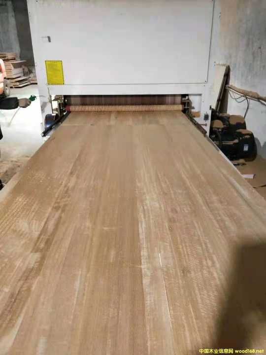 [] (yng)ľľeʯľGMELINA