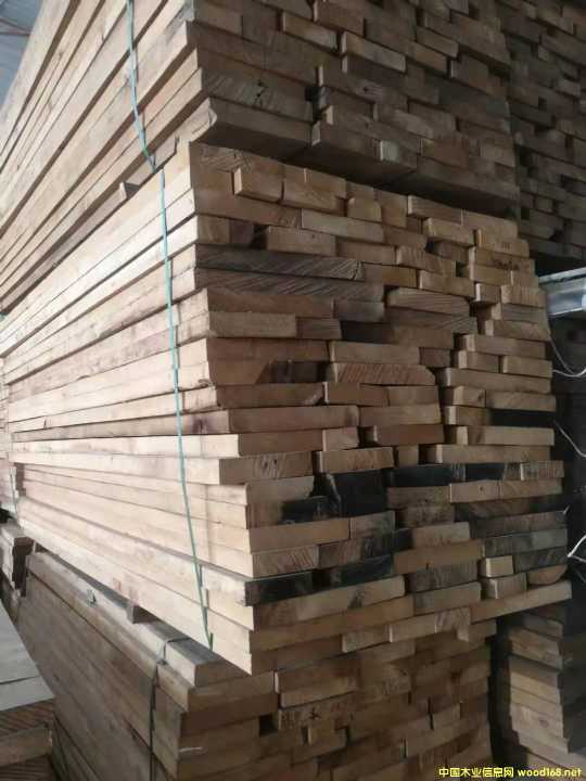 [] (yng)ľľeʯľGMELINA