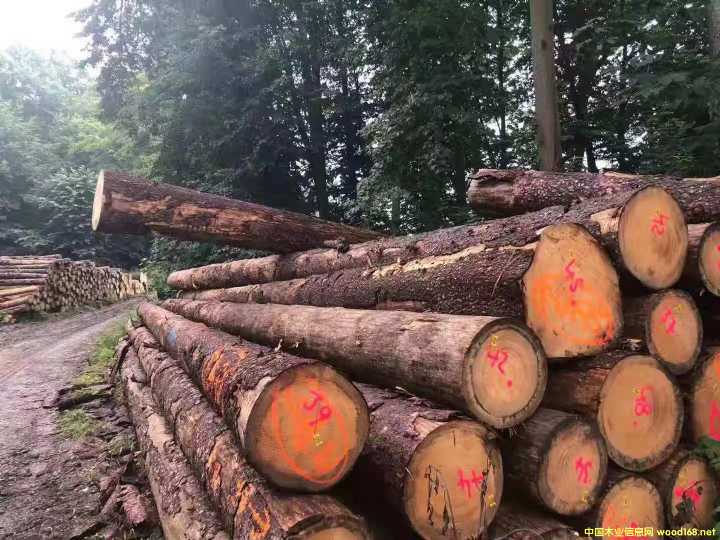 [] ɼԭľ؛