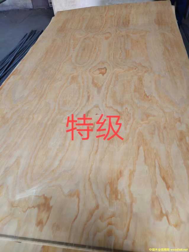 的詳細(xì)介紹