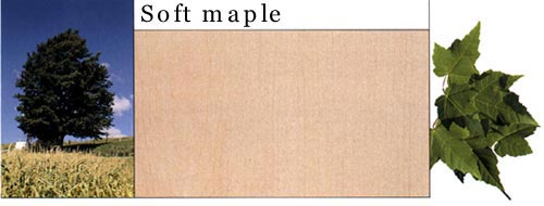 Soft Maple ܛԔ(x)B