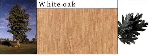 White Oak Ԕ(x)B