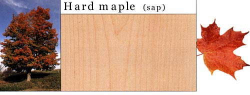 Hard Maple ӲԔ(x)B