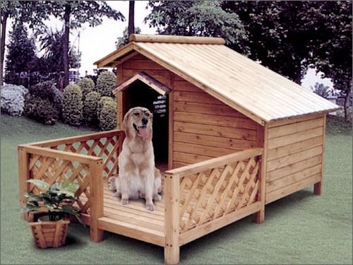 Ȯᣨ)_ DOG HOUSE WITH BALCԔ(x)B
