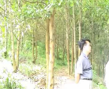 (sh)